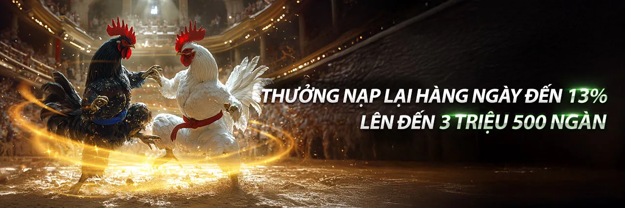 Đá Gà Trực Tuyến mm88b nhà cái